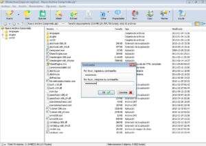 WinArchiver Pro Crack 5.8 + License Key Portable Download